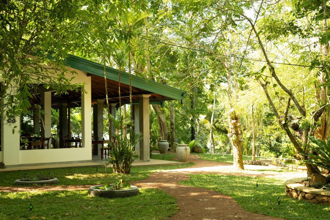 Villa Birdlake Hikkaduwa Kültér fotó