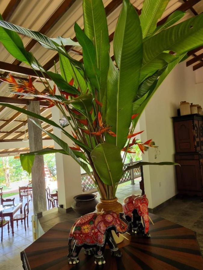 Villa Birdlake Hikkaduwa Kültér fotó