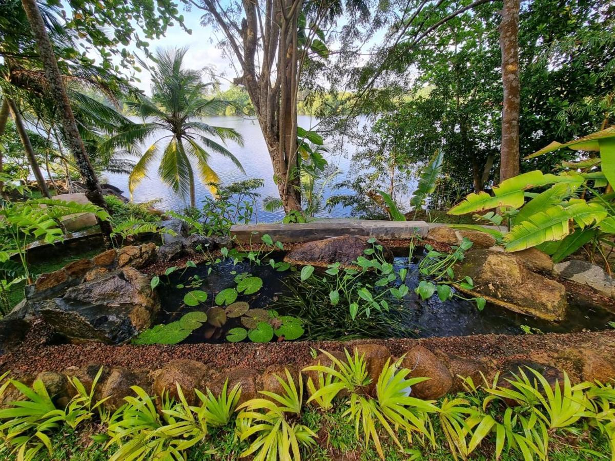 Villa Birdlake Hikkaduwa Kültér fotó