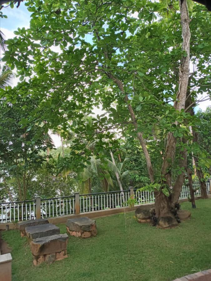 Villa Birdlake Hikkaduwa Kültér fotó