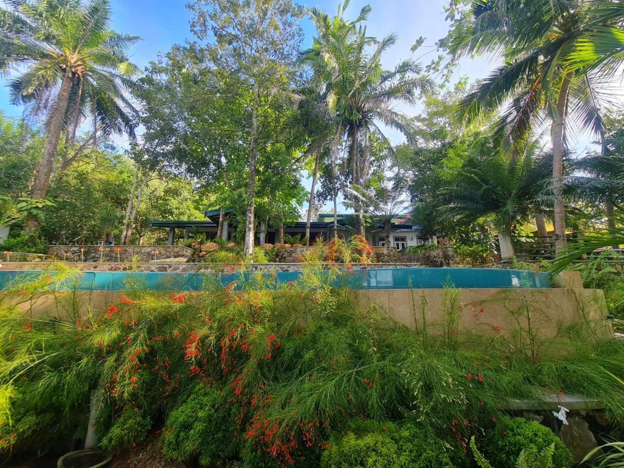 Villa Birdlake Hikkaduwa Kültér fotó