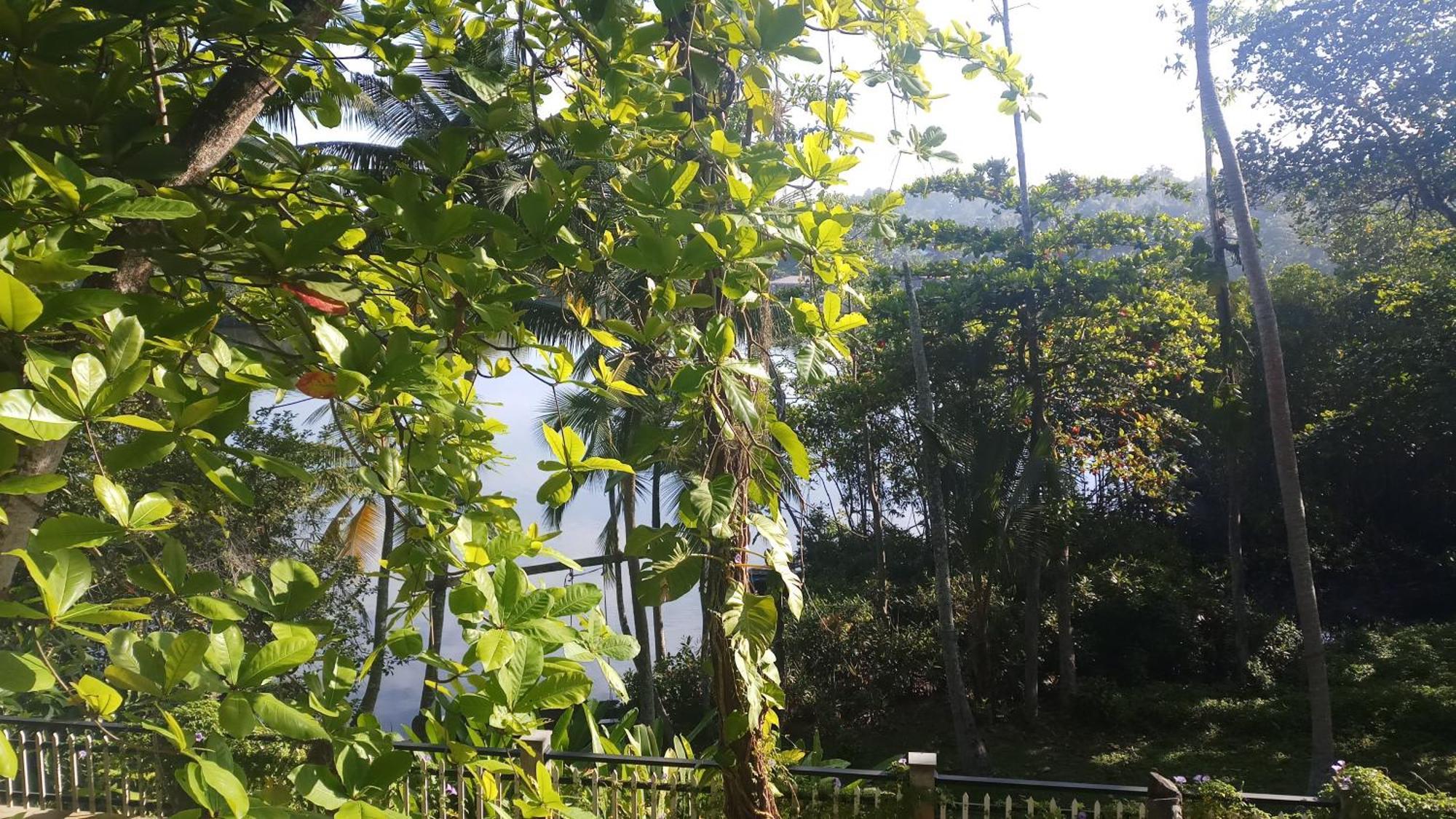 Villa Birdlake Hikkaduwa Kültér fotó